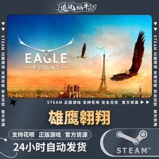 PC正版 Steam 国区 雄鹰翱翔 Eagle Flight 礼物 VR