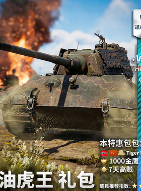 War Thunder 战争雷霆 柴油 虎王 德系 King Tiger 礼包