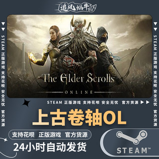 Steam 正版 PC 游戏 The Elder Scrolls® Online 上古卷轴ol 国