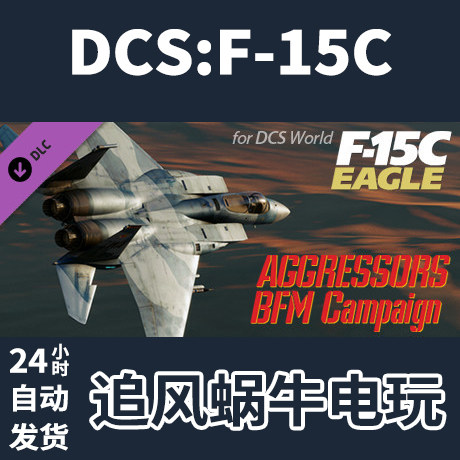 pc正版 steam  f-15c: aggressors bfm campaign 国区礼物