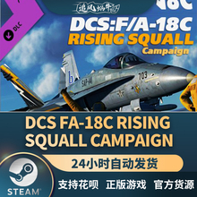 Steam 正版 PC 游戏 DCS: F/A-18C Rising Squall Campaign  国区