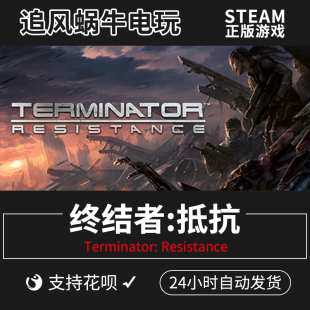 Resistance 终结者 Terminator 抵抗 PC正版 steam游戏