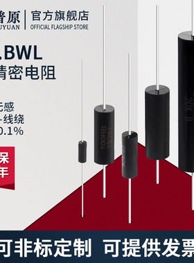 EE BWL高精密金属膜低温漂无感采样仪器电阻 0.25W0.25W1W3W5W10W