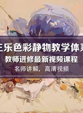 2023美术教师进修视频课程王乐色彩静物高清网课中考高考水粉教程