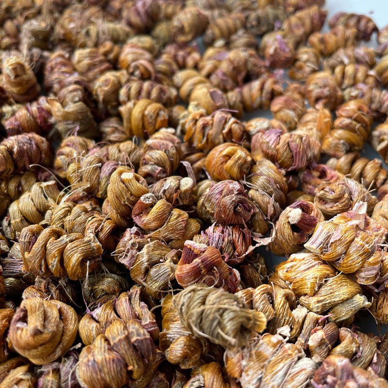 浙江温州露天梨树上 三四年铁皮枫斗 红铁皮石斛胶多