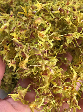 山上树桩上铁皮石斛新花 花干 干花 花茶 铁皮枫斗花