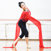 藏族儿童练习水袖 上衣女成人舞蹈练功服甩袖 古典舞惊鸿戏曲表演服