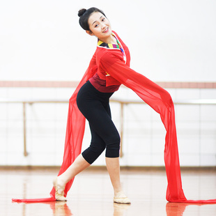 藏族儿童练习水袖 古典舞惊鸿戏曲表演服 上衣女成人舞蹈练功服甩袖