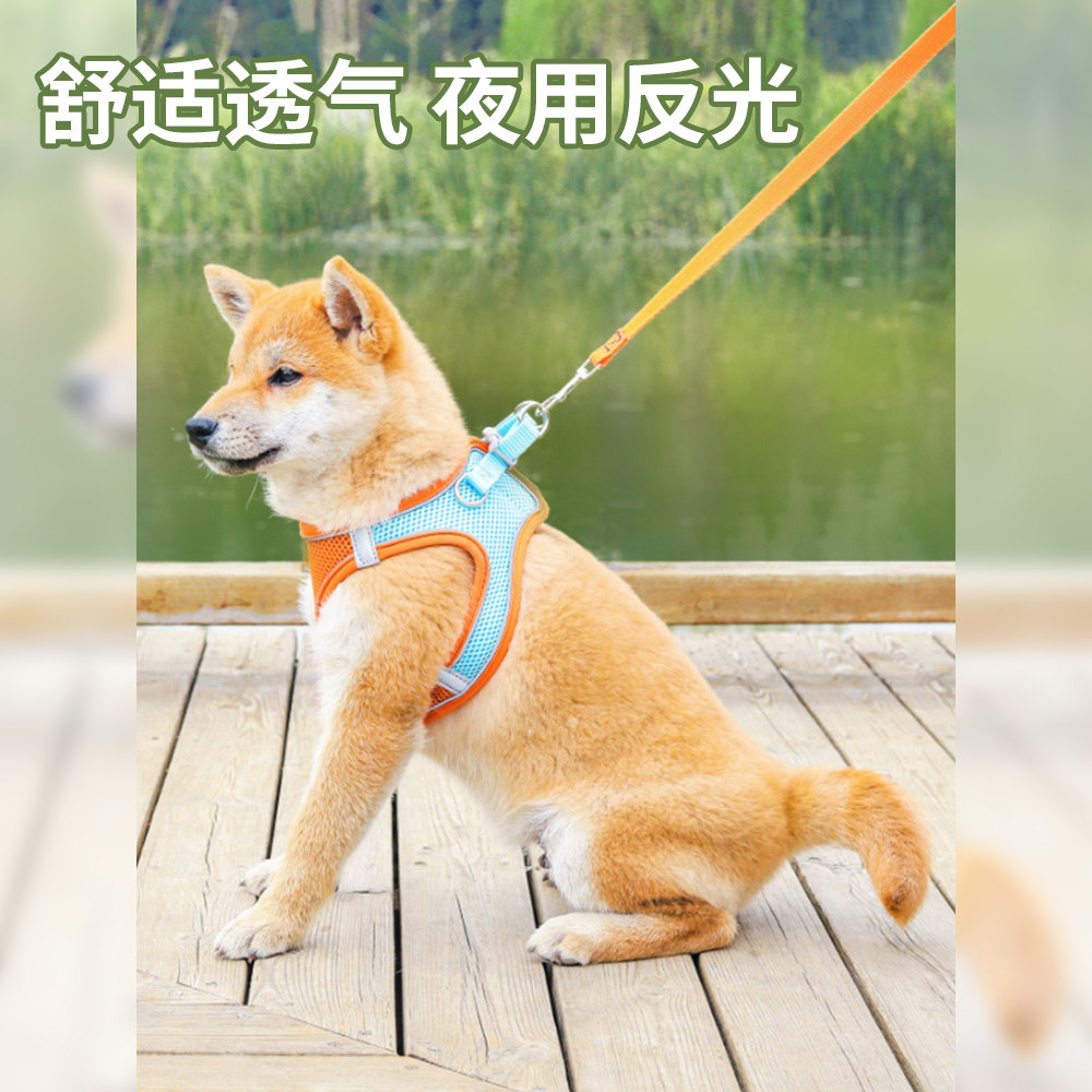柴犬牵引绳中小型狗柯基法斗背心式可调节胸背带外出狗专用猫链子