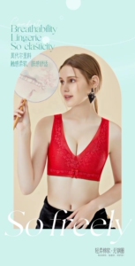2024新款丝洛芬慕恋蕾丝无钢圈内衣小胸聚拢收副乳上托背心式文胸