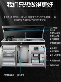 定制柴火集成灶一体灶家用无烟新型室内农村新款节能厨房现代柴火