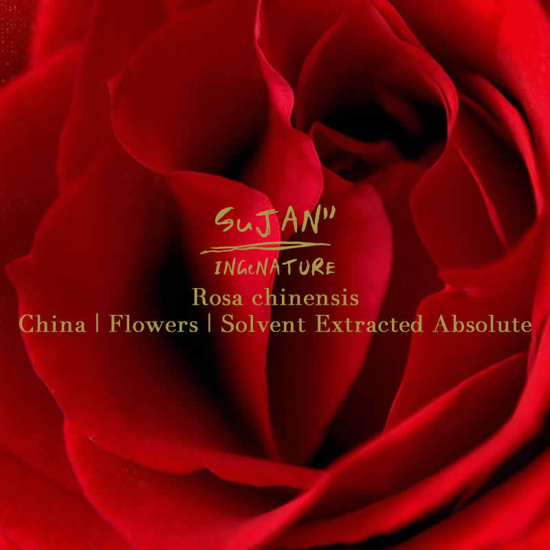 墨红原精 sujan 墨红玫瑰精油 素匠集