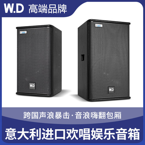10/12寸意大利进口喇叭娱乐音箱