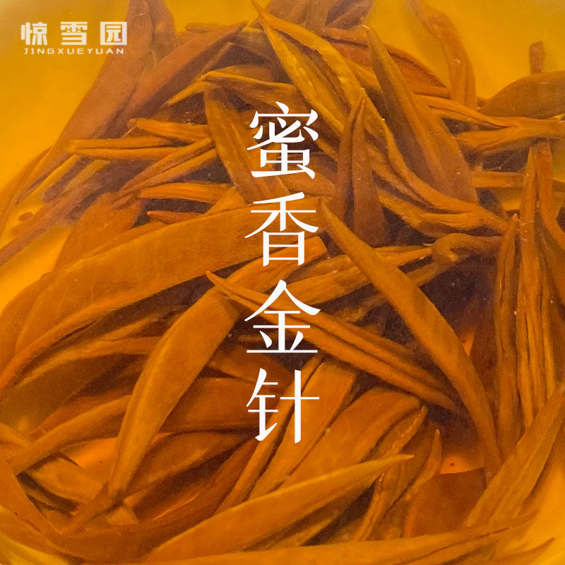 惊雪园 蜜香金针 新茶古树红茶特级金针浓香型茶叶