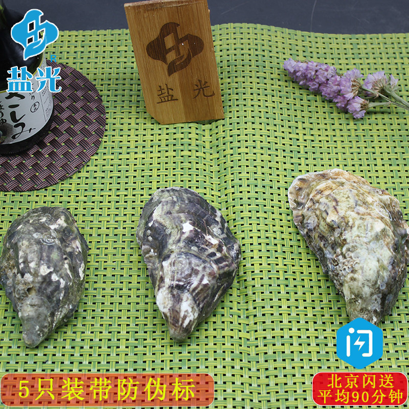 法国吉拉朵Gillardeau 5只装原装生蚝水产贝壳牡蛎N1N0N2非吉拉多