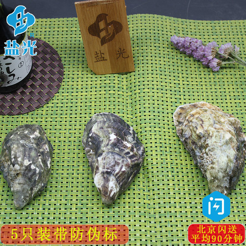 法国吉拉朵Gillardeau 5只装原装生蚝水产贝壳牡蛎N1N0N2非吉拉多