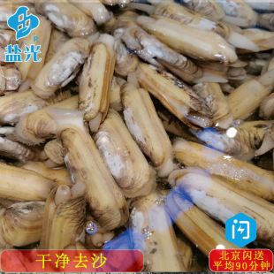 鲜活无沙竹蛏王缢蛏大蛏子新鲜海鲜水产每份15-25只 快递包鲜贝壳