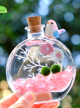 MARIMO海藻球幸福莫微景观球藻生态瓶水培植物室内香水瓶送营养液