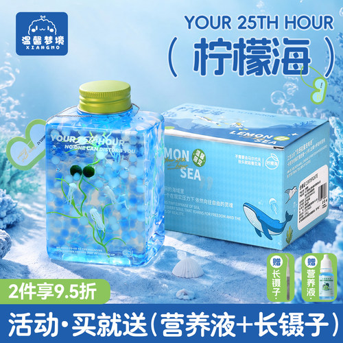 marimo海藻球柠檬海底世界微景观
