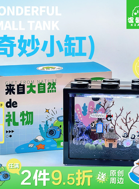 奇妙小屋海藻球微景观生态缸鱼缸桌面迷你水培植物小盆栽创意礼物