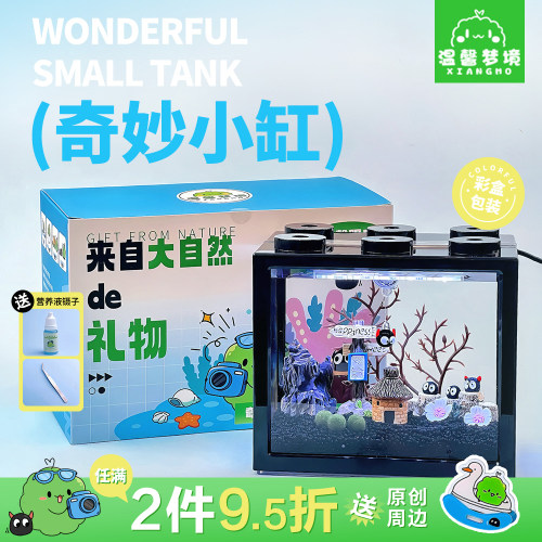 稀奇古怪植物2元小宠物生日礼物