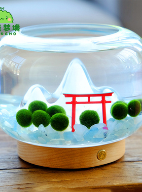 日式暖山居marimo海藻球diy微景观桌面植物盆栽创意礼品夜灯摆件