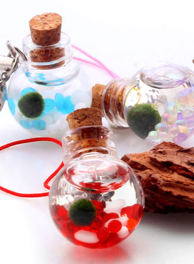 包邮marimo幸福宠物海藻球生态瓶幸福莫水培植物微景观球藻随身瓶