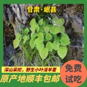 甘肃岷县小叶野生淫羊藿中药材男性持久正品 特级纯天然锁阳肉苁蓉