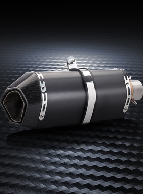 摩托车排气管 R3 CB650R Z400 改装Remus 狼头排气管 通用尾段