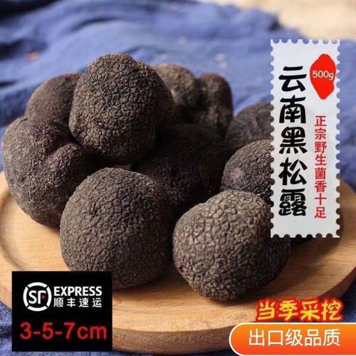 黑松露新鲜养生高原猪拱菌雅江