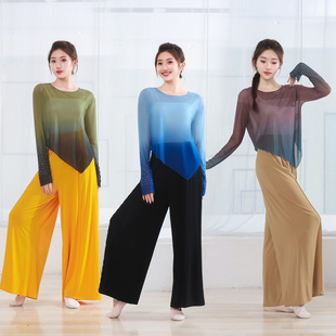 新长袖 集体舞街舞表演服 现代舞古典舞练功服宽松弹力网纱衣阔腿裤