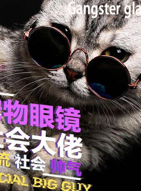 墨镜小型网红宠物狗太阳镜