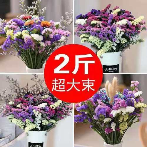 云南天然风干干花花束勿忘我真花装饰摆件客厅大束插花满天星批发