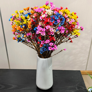 【澳洲腊梅】鲜切澳洲粉色腊梅花卉年宵花云南基地直发室内摆放