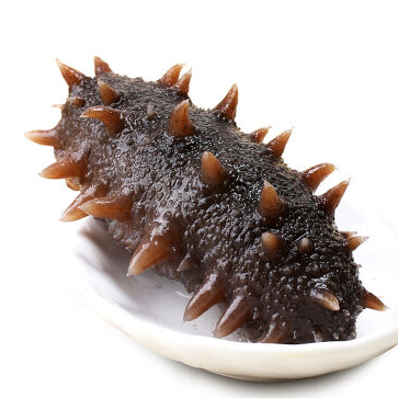 真空海参即食野生海刺参辽参海养北纬39度水域生长刺身可用可代理