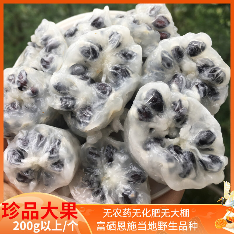 富硒恩施野生罕见大果水果直销