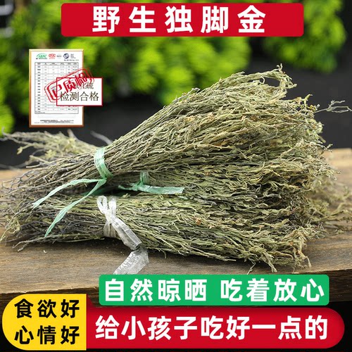 青绿广西野生独角金中药材