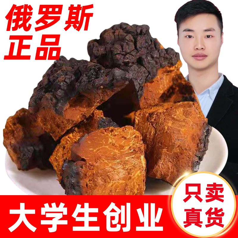 桦树茸俄罗斯进口黑金块野生正品桦树茸黑金颗粒非长白山桦褐孔菌