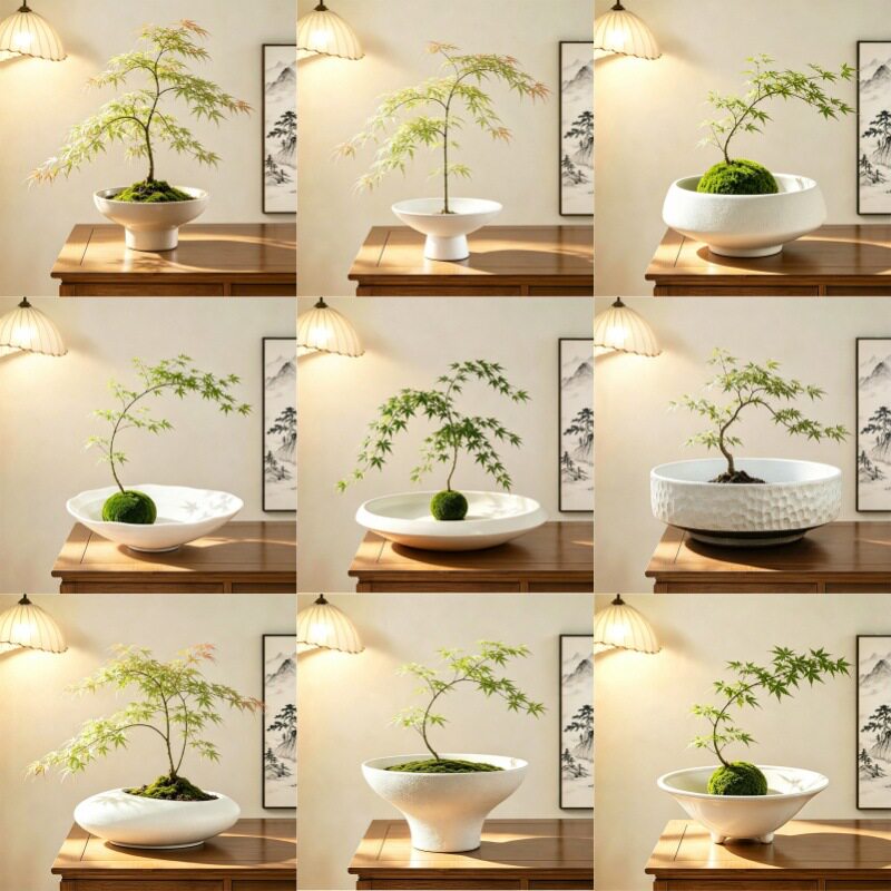 批发代发流泉枫花盆陶瓷无孔苔藓花盆