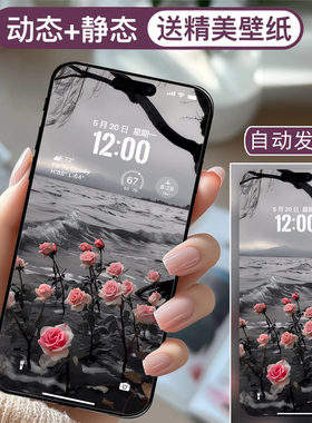 安卓苹果手机高清动态壁纸2K4K8K个性图片视频动态壁纸-海边玫瑰
