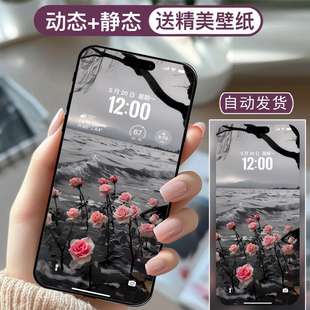 安卓苹果手机高清动态壁纸2K4K8K个性图片视频动态壁纸-海边玫瑰