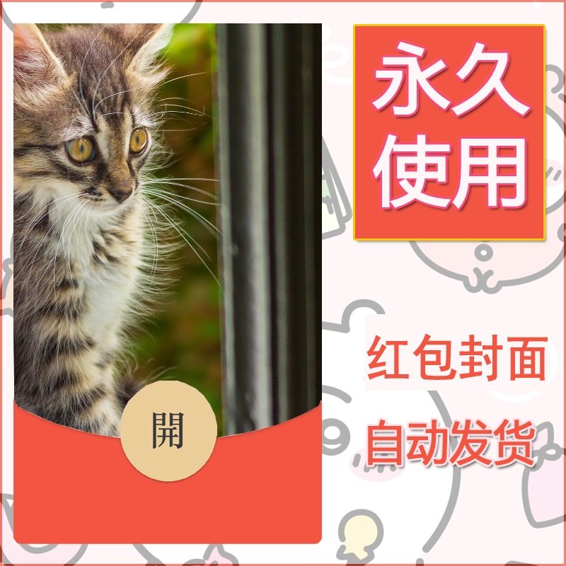 新款永久微信红包封面宠物系列diy素材252