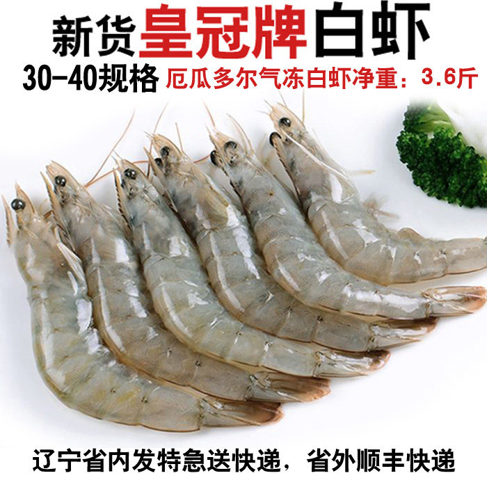 新货海捕厄瓜多尔汽冻/盐冻南美白虾生冻海虾大对虾海鲜包邮顺丰