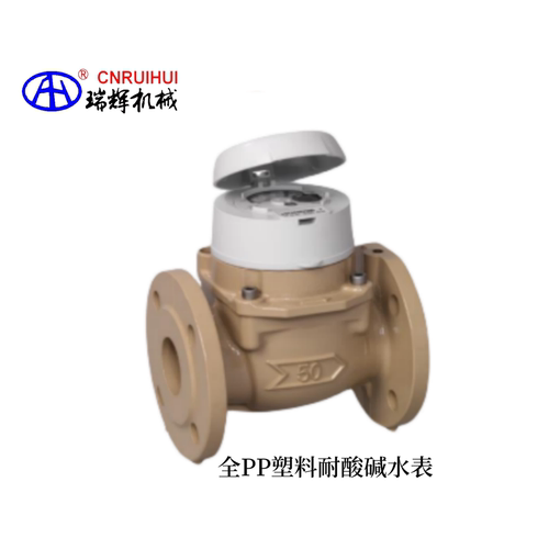 瑞辉全PP全塑料耐酸碱水表upvc防腐蚀流量计RHNY-A50SF塑料ABS PP