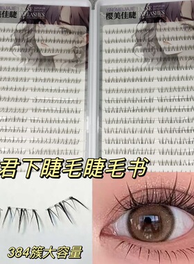 大容量睫毛书昭君下睫毛上镜自然款氛围感懒人仿真分段式假睫毛