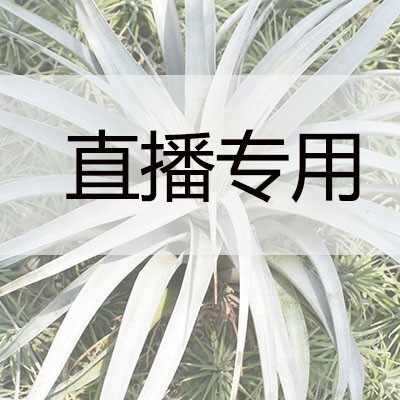 10月15日直播未知精灵49-50