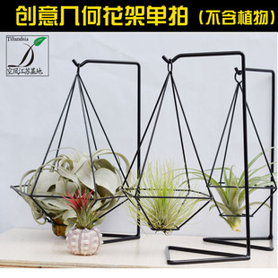 摆放花架 空气凤梨 几何花架 6角不含植物