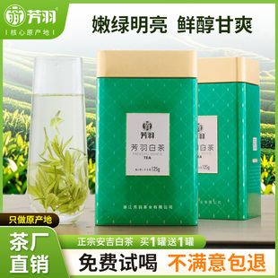 安吉白茶2025年新茶上市芳羽正品 250g正宗兰花香春茶茶叶 特级罐装