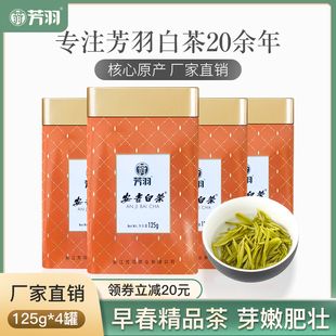 2024新茶上市芳羽安吉白茶明前精品500g罐装正宗珍稀绿茶春茶叶