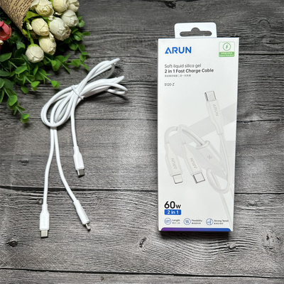 海陆通S10-Z一拖二C口一拖二